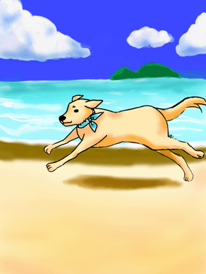 ���l���y�������ɑ���A��ɃX�J�[�t�����������u���h�[�����g���o�[�B�C�̌������ɂ͓���������ł��܂��B��ɉ_��������ł��܂��B